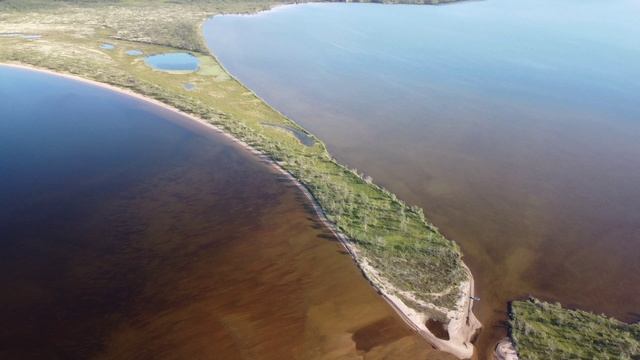 26 наш июль 2024 Канденъявр