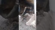 23 декабря 2021 г.