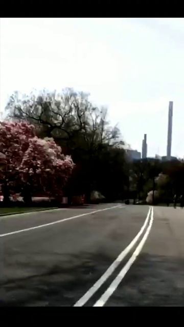 Central Park, New York, NY