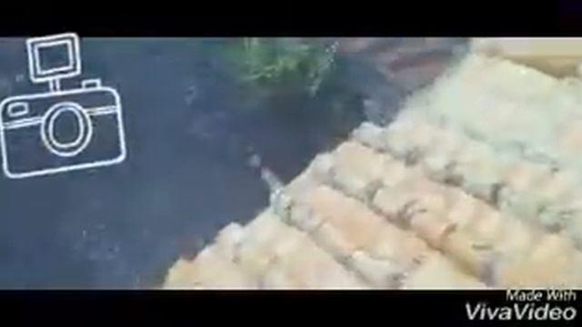 Проламили крышу шок