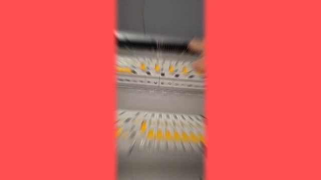 1000019130.mp4 (Собака смотрит на электроснабжение дома А-фрейм)