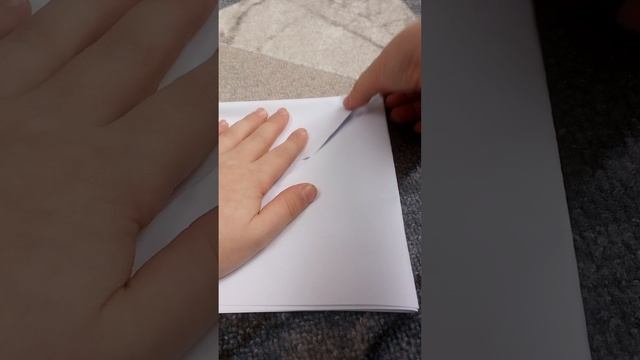 VID_20250223_125009.mp4