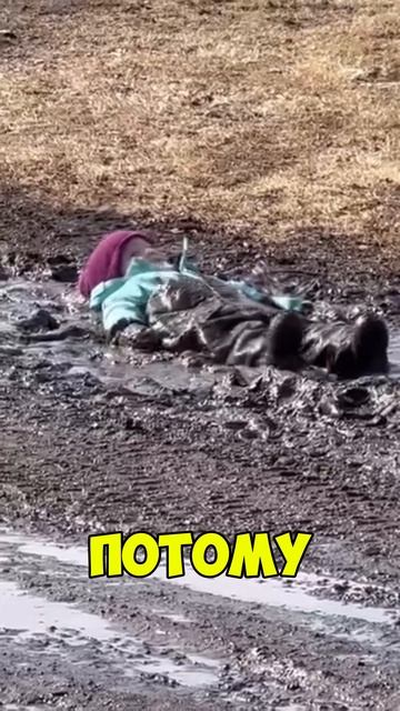 время