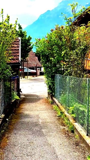 Моменты жизни, запечатленные на камеру