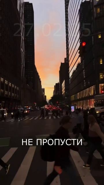 Гоша Дерябин, МОНГООЛ, ушатай - Вайб 3 (6) #shorts