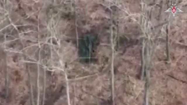 СВО День 1117: Оператор FPV-дрона ГрВ "Север" смешал с землей блиндаж ВСУ в Харьковской области