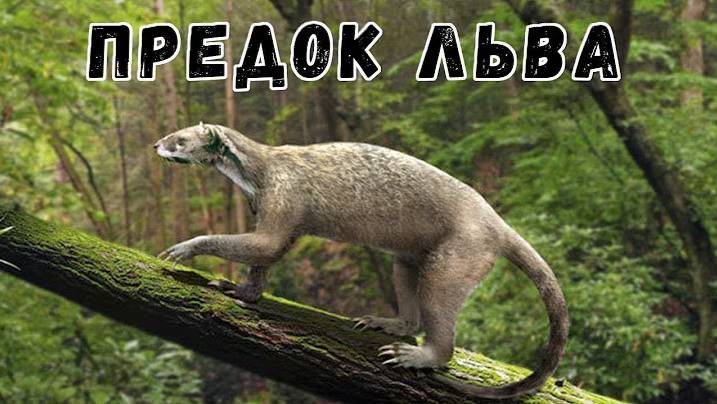 Какими были доисторические предки современного семейства кошачьих?