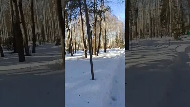 VID-20250316-WA0069
