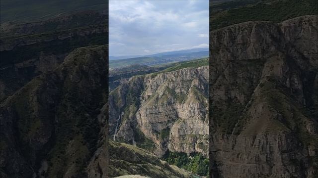 Память