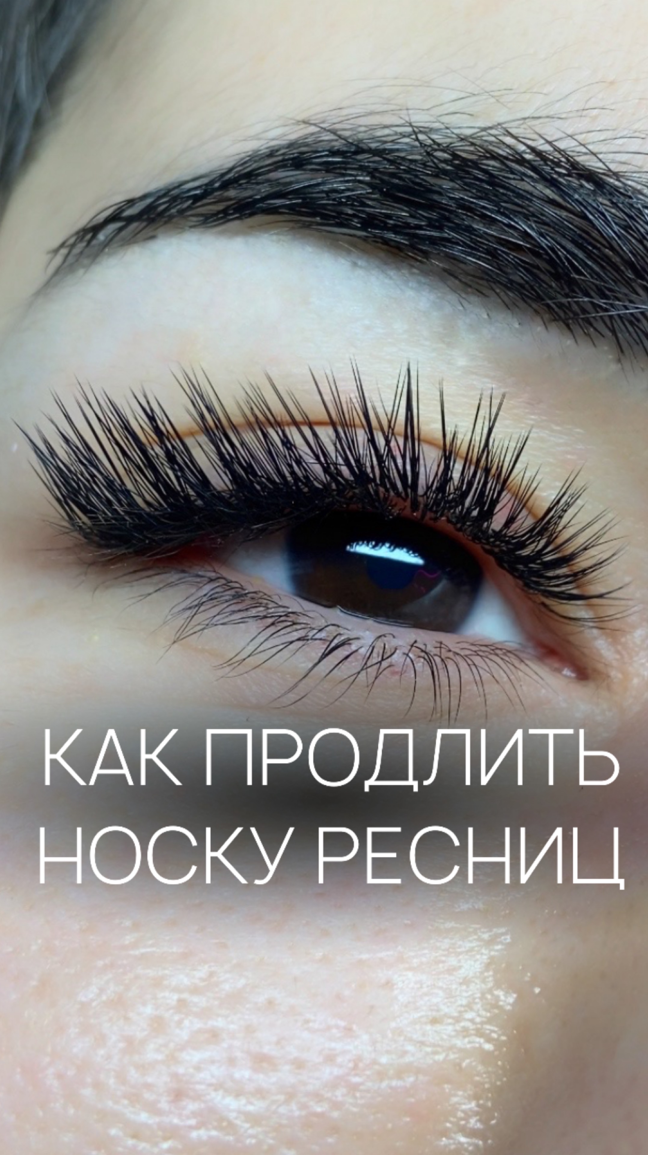 Носка ресниц 

#обучениересницы #носкаресниц #ресницынаращивание #онлайнобучениересницы