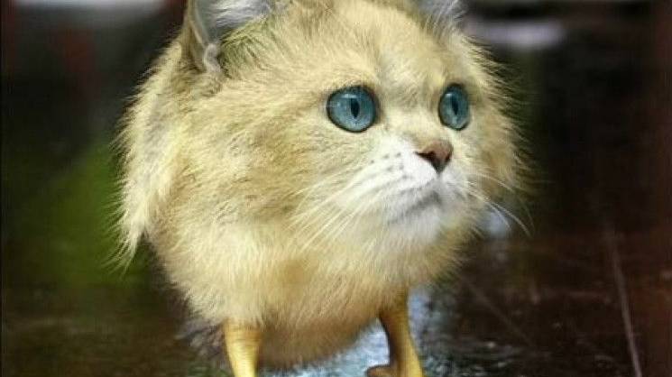 НОВАЯ ГТА 5 ENHANCED