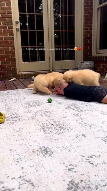1000007270.mp4