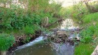 Звуки природы.Речка