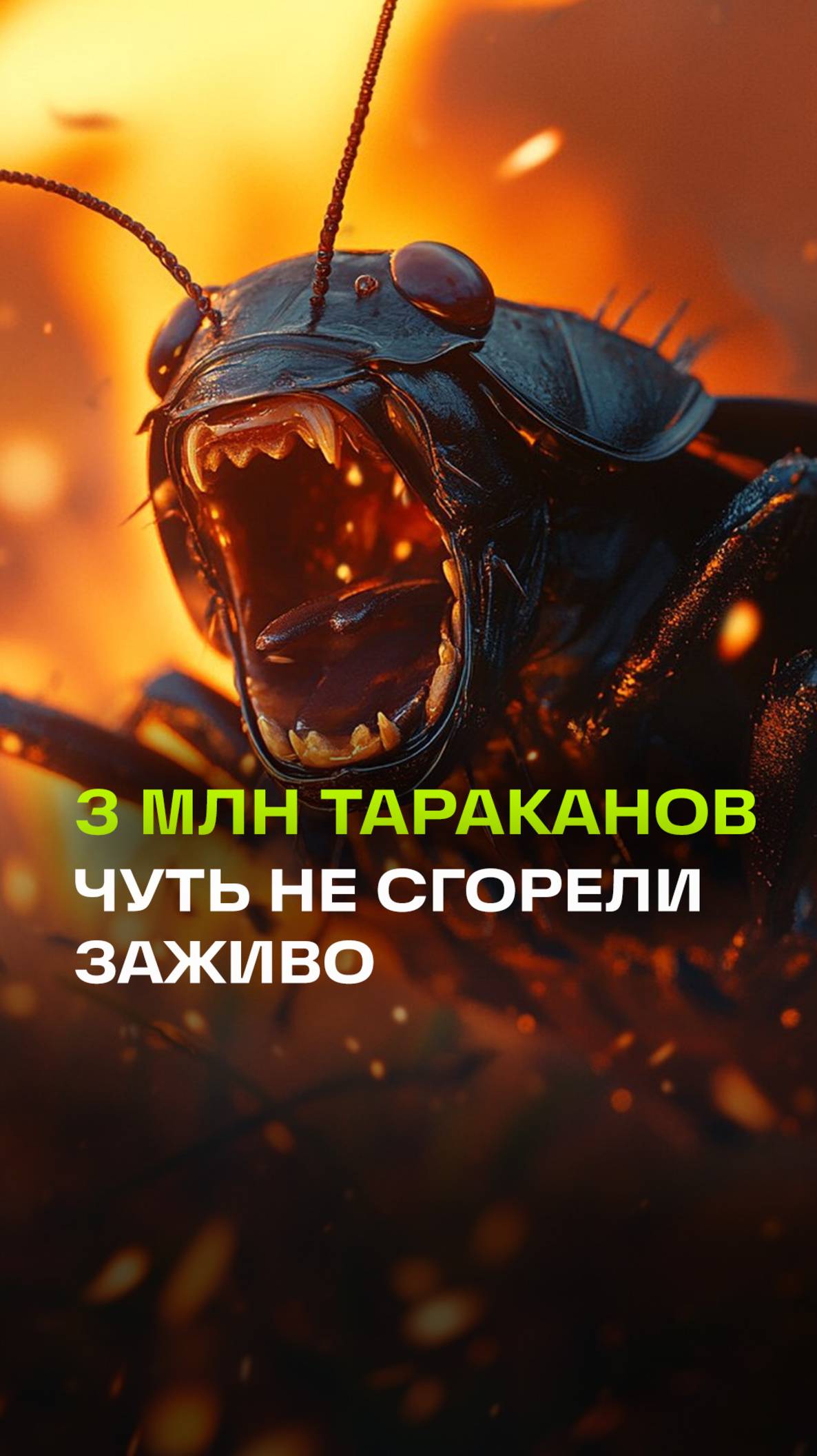 Три миллиона тараканов и сверчков пережили огненный апокалипсис в Ижевске