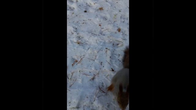 Чудесного дня!