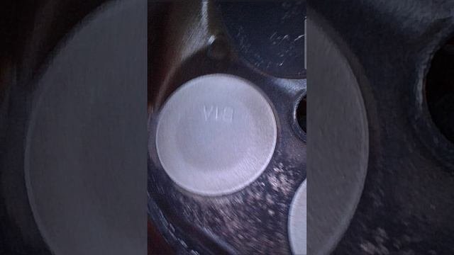 1000337280.mp4