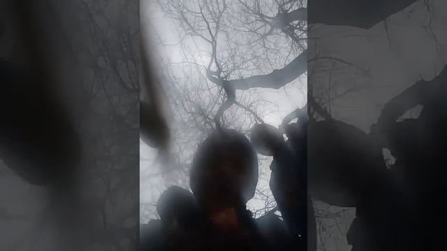 Кириешки