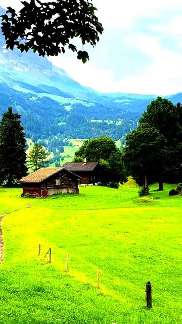 Поймано в объектив