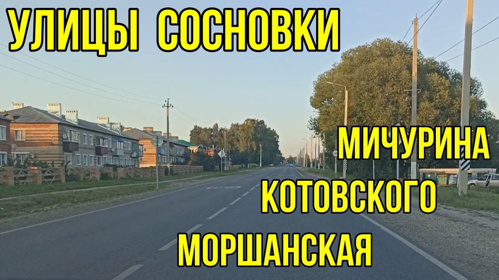 Улицы Мичурина, Котовского, Моршанская в посёлке Сосновка Тамбовской области