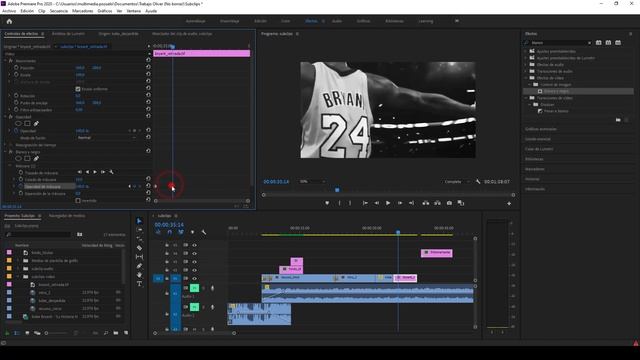 17 Aplicar efecto blanco negro en Adobe Premiere