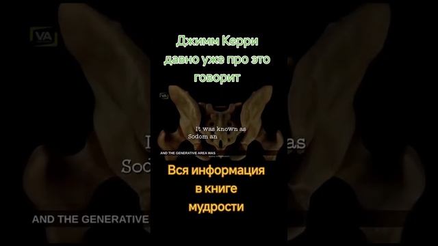 Шишковидка и жидкость Бога в Яйцах каждого мужчины без применения по назначению (Духовной Реализации