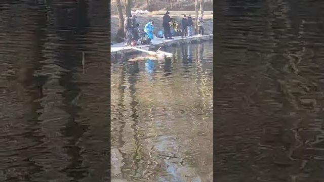 16 марта Каньон.