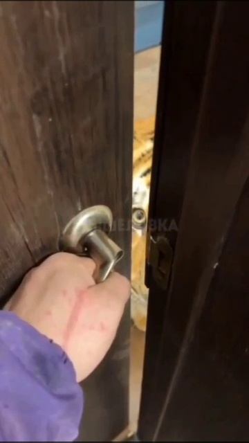 Когда сосед попросил покормить кота
#кот