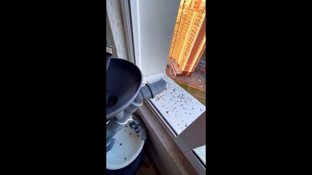 Новые функции веялки для очистки ягод (Кофе)