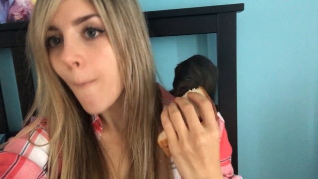 Squirrel Wants Sandwich Too