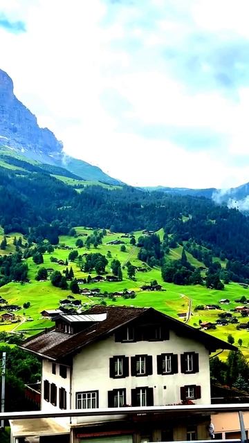 Поймано случайно