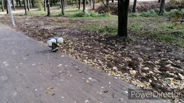 Год и 4мес (август, сентябрь, октябрь 2019)