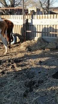 VID_20250208_160543.mp4