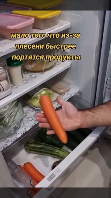 Зачем нужно держать соль в холодильнике🧂
