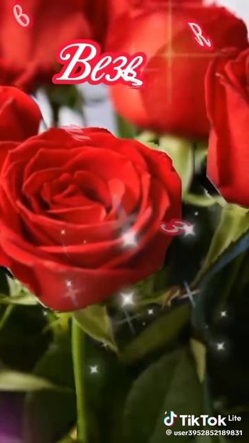 VID-20250316-WA0300
