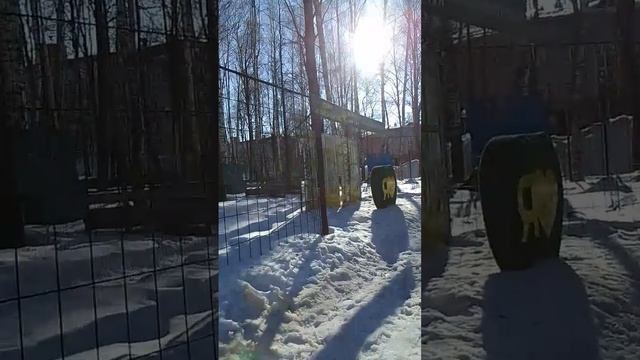 VID-20250316-WA0077