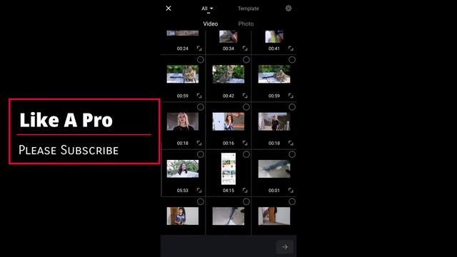 Cat Video Portrait Color Grading In Vn Video Editor