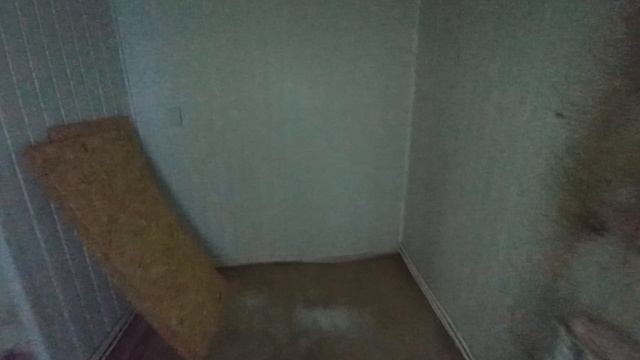 VID_20250315_143135