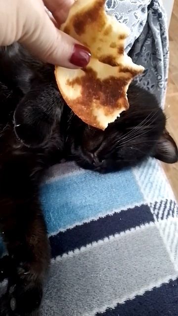 Мартовский кот! 🐱