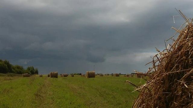 Дождь в конце августа