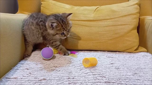1000017690.mp4