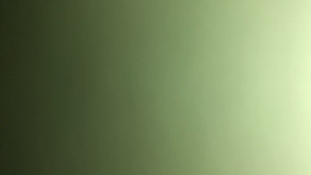 Один раз в год сады цветут