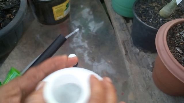 Como faço a prevenção das minhas Rds, contra ácaros.