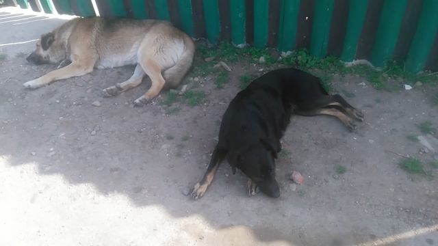 VID_20250315_101058