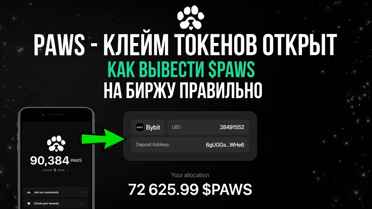 ✔️PAWS - Клейм ОТКРЫТ! Как ПРАВИЛЬНО ВЫВЕСТИ ТОКЕНЫ НА БИРЖУ.