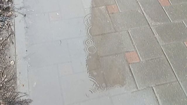 Сегодня дождь 💦🌂☔. , ну конечно 💯я на улице. Мне нравится гулять под дождем.