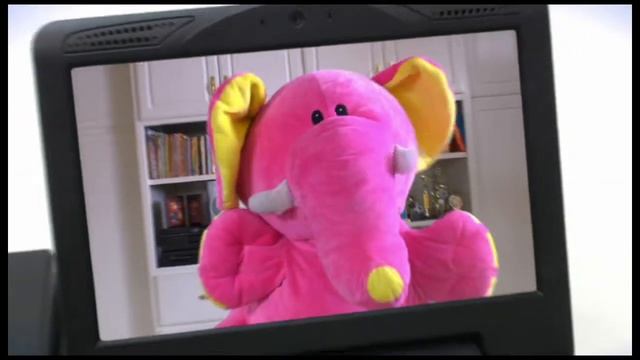 ACN: Elephant In The Room