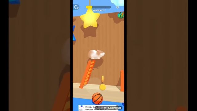 Хомяк😱😨😨😰😰😰