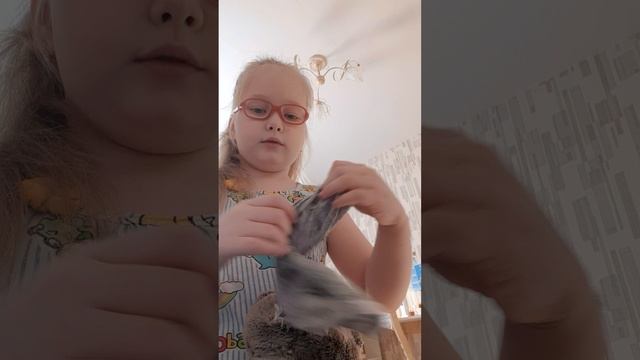 Утро басиков.