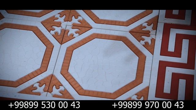 BRUSCHATKA NARXLARI 2022 ENG ARZON NARXLARDA