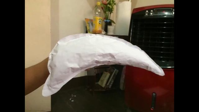 How to Make Paper Mache Dolphin #arts #Grade2 #Lamangdagat #easy